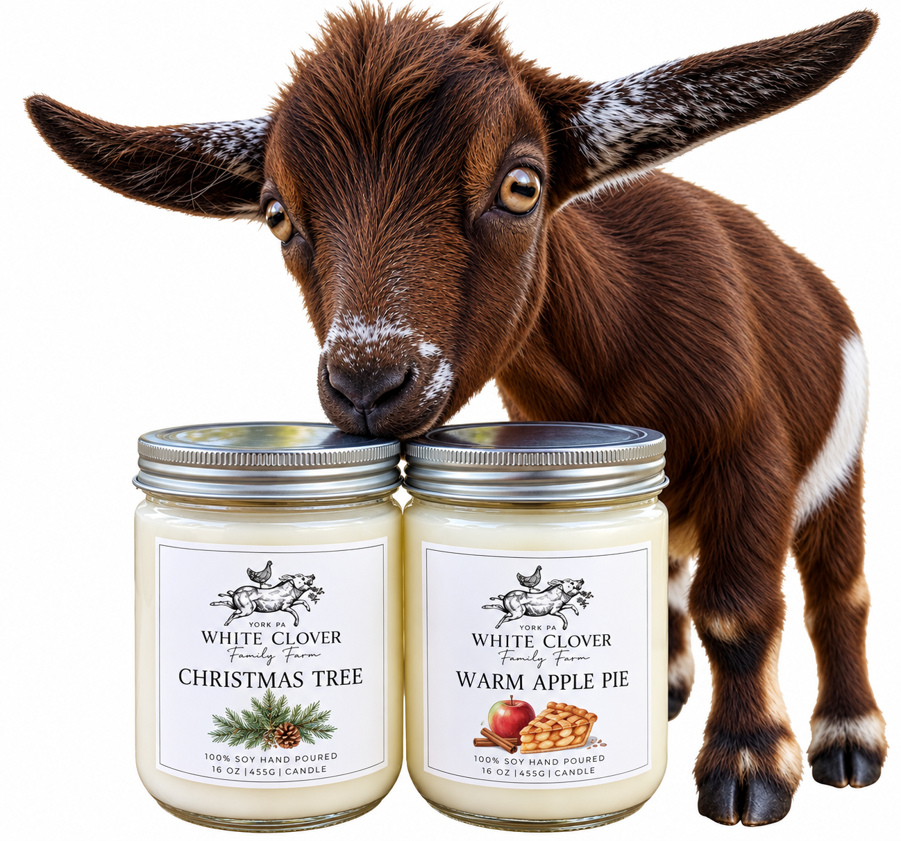 White Clover Family Farm holiday candles